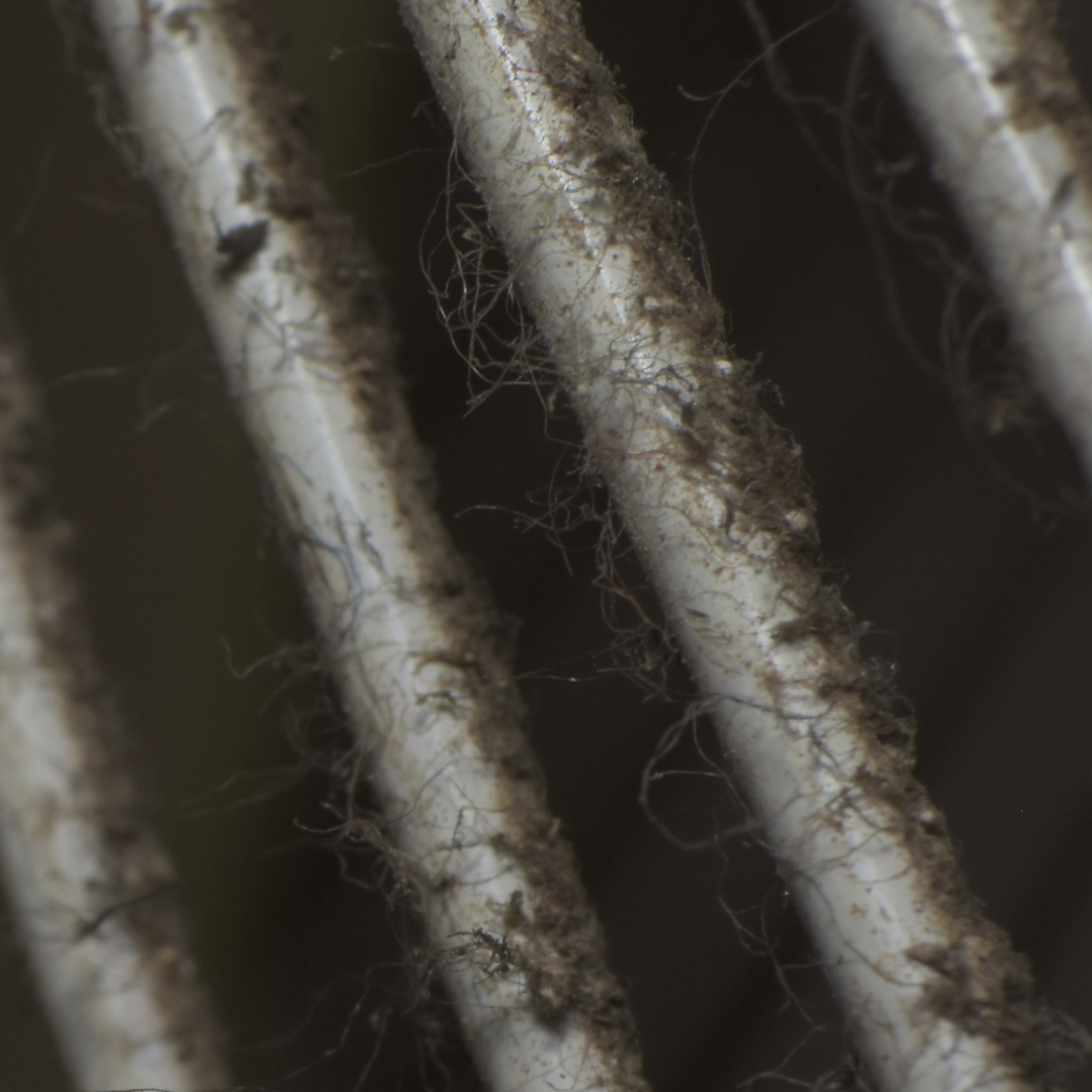 Product buildup on hair strand from shampoo and conditioner - sabotaging hair health - Wicked Hues New Orleans