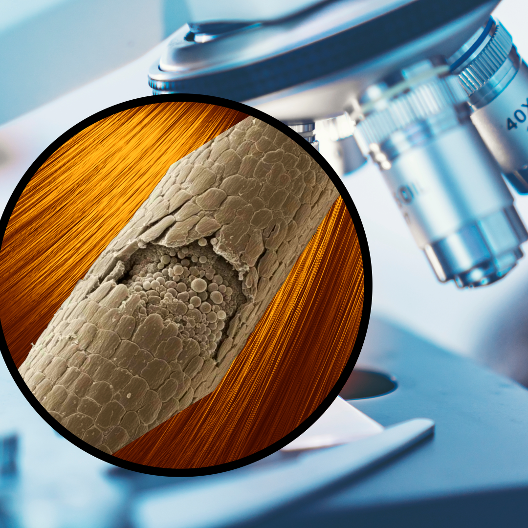 Flat iron heat styling close-up - how to avoid heat damage to hair - Wicked Hues New Orleans