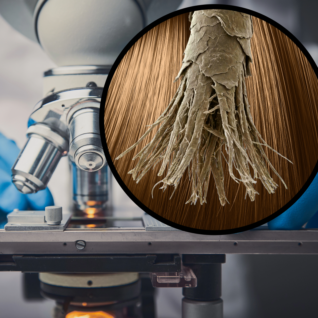 Macro close-up of split ends on hair strand - understanding and preventing hair damage - Wicked Hues New Orleans